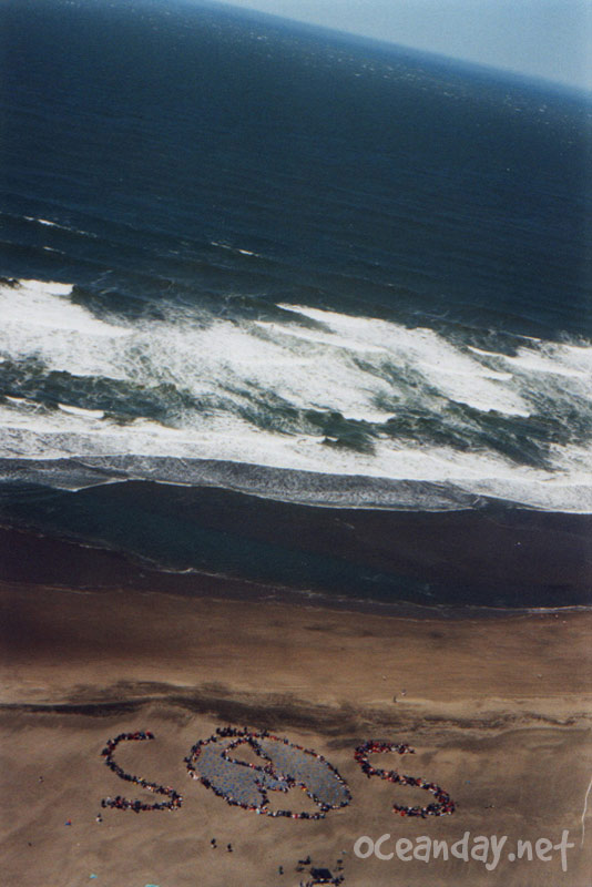 Ocean Day - 1990's