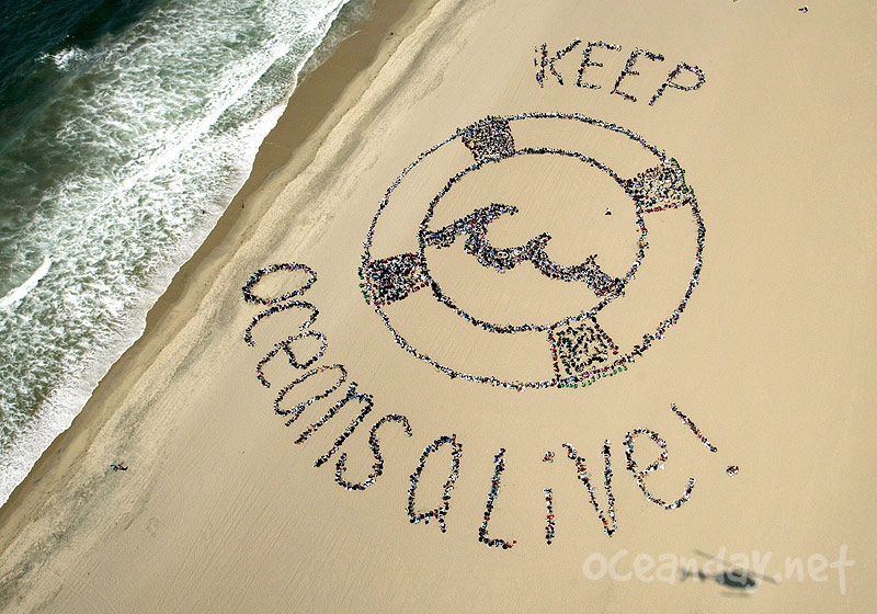 2004 - KEEP OCEANS ALIVE!