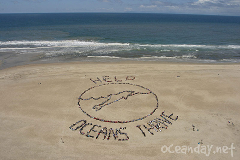2006 - Help Oceans Thrive