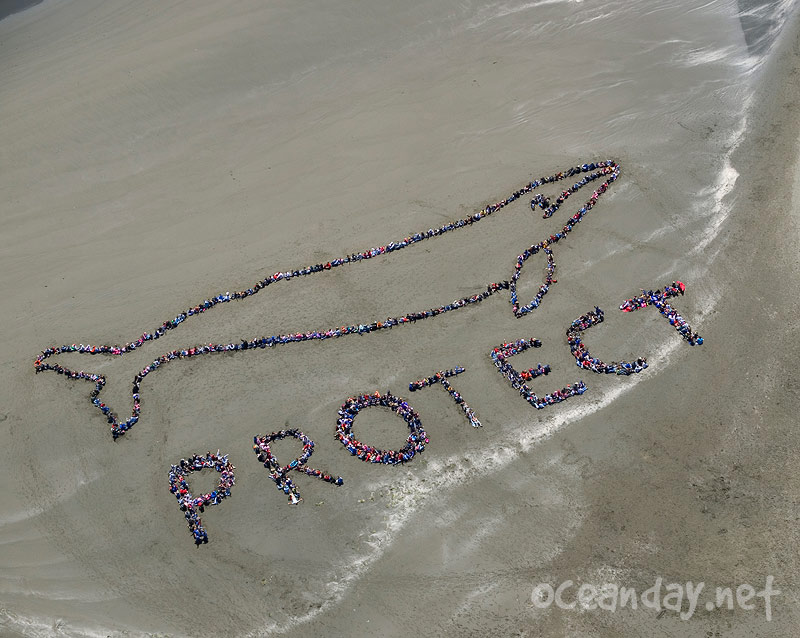 2007 - The Migrating Human Whale Project