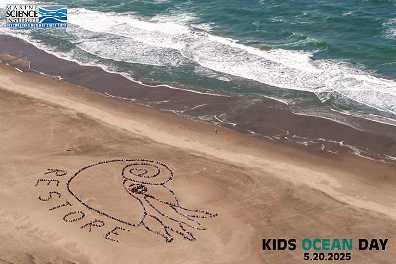 Ocean Day -San Francisco