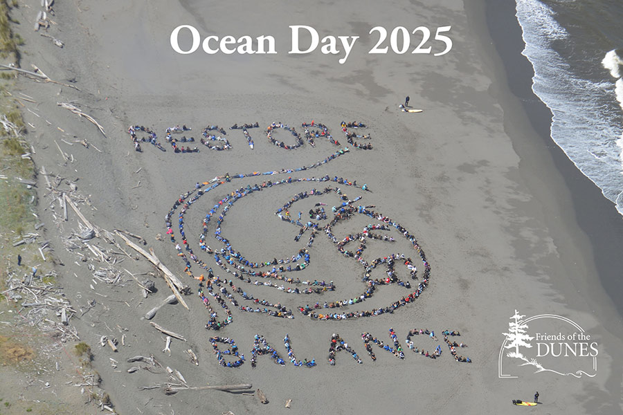 2025 - Humboldt