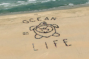 2003 - OCEAN = LIFE
